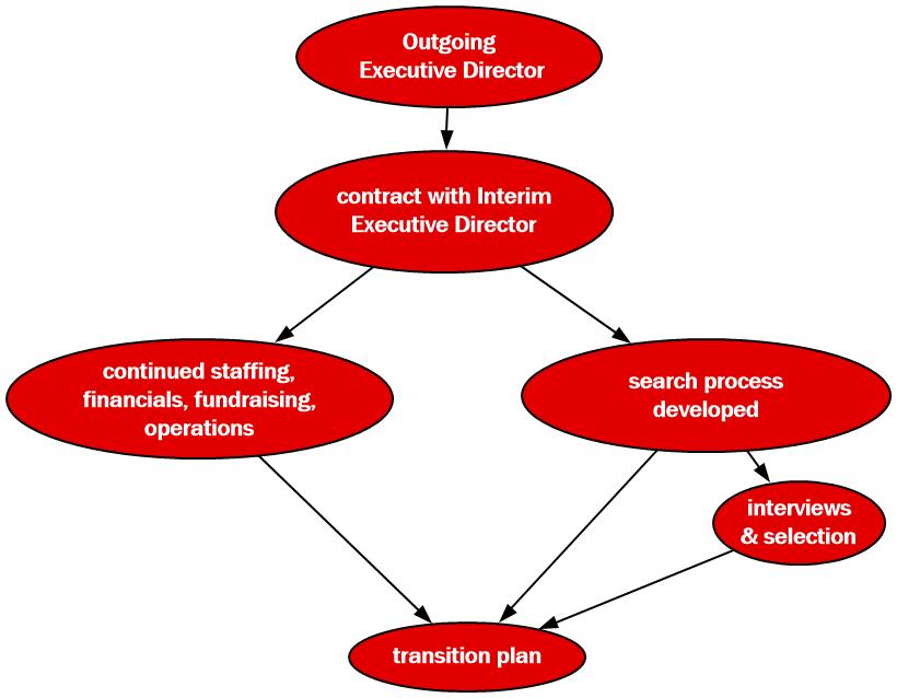 Interim Executive Director process