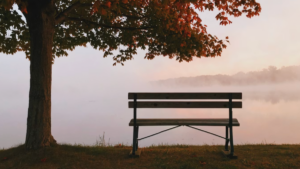 Stop last-minute exec hires. Build a leadership bench for every critical role—identify, develop, and ready internal talent for tomorrow.